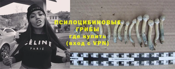 шишки Алзамай