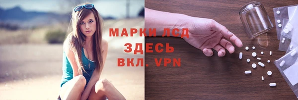 шишки Алзамай
