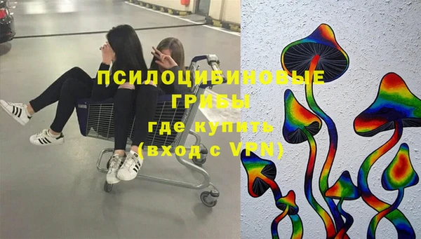 ПСИЛОЦИБИНОВЫЕ ГРИБЫ Алексеевка