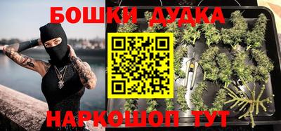 прущие грибы Бийск