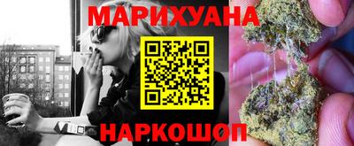 прущие грибы Бийск