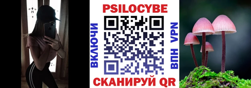 omg как войти  Ижевск  Псилоцибиновые грибы Cubensis  цена наркотик 